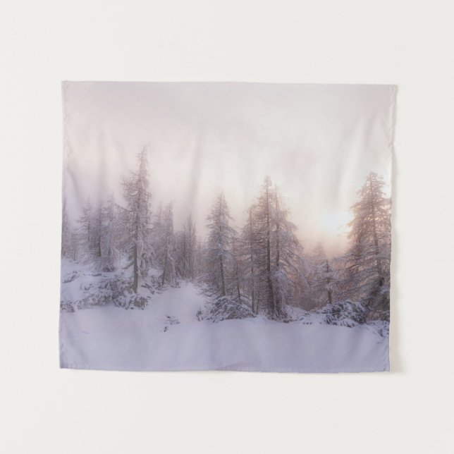 Tapete De Parede Floresta solar e de abeto (Frente (Horizontal))