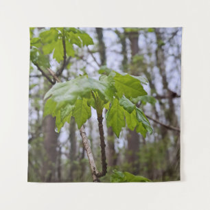 Tapete De Parede Folhas da Floresta Após Chuva – Natureza Selvagem