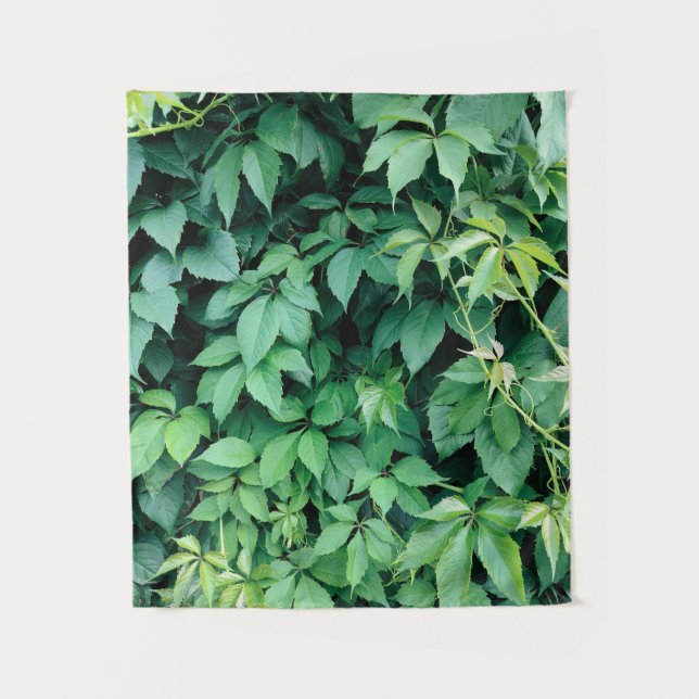 Tapete De Parede Folhas de Grama Verde (Frente)