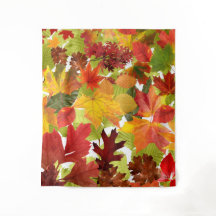 Folhas de outono do outono