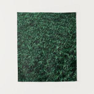 Tapete De Parede Folhas verdes