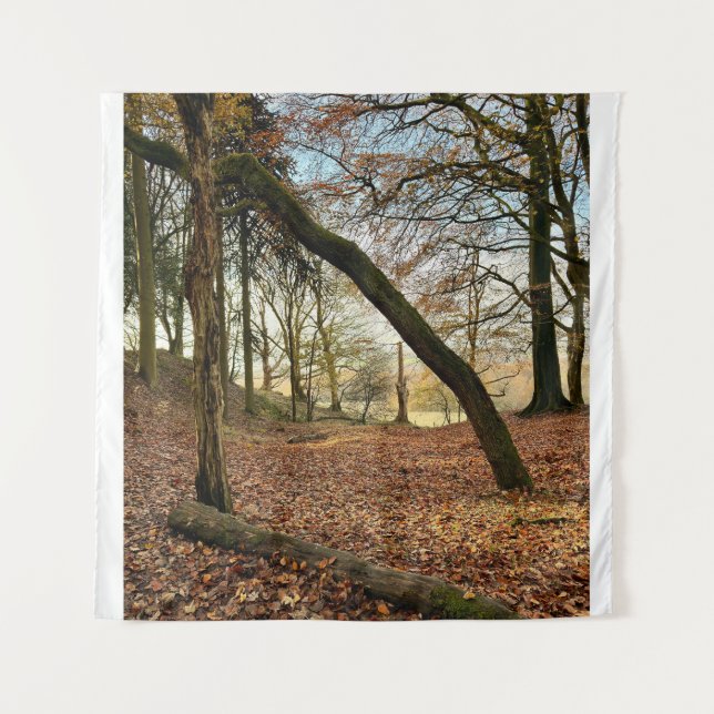 Tapete De Parede Forest (Frente)