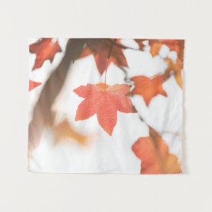 Tapete De Parede Foto da natureza do Folheto Vermelho