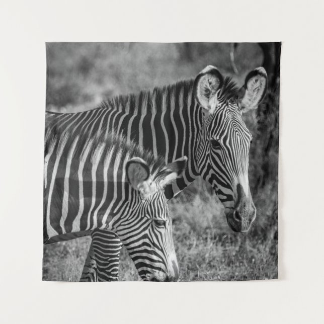 TAPETE DE PAREDE FOTO GRAYSCALE DE ZEBRAS (Frente)