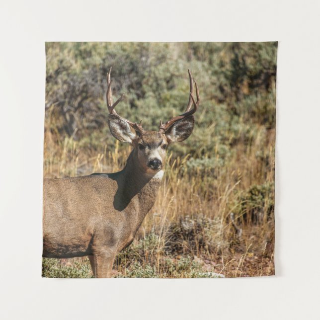 TAPETE DE PAREDE FOTOGRAFIA DA VIDA SELVAGEM DE BUCK (Frente)