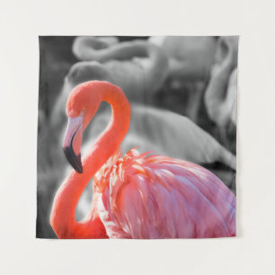 Tapete De Parede Fotografia de Flamingo Bird