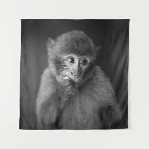 TAPETE DE PAREDE FOTOGRAFIA DE FOCO BARATO DE MACACO NEGRO