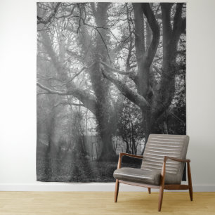 Tapete De Parede Fotografia em Preto e Branco da Floresta Assustado