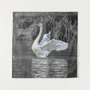 Tapete De Parede Fotografia em preto-e-branco Swan