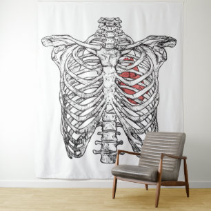 Tapete De Parede Gaiola de Costela Vintage e Anatomia do Coração de