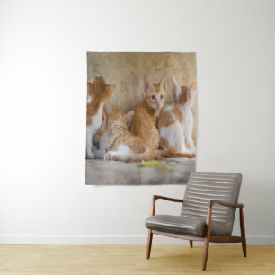 Tapete De Parede Gatinho Listrado Laranja e Branco/Adicione a Foto