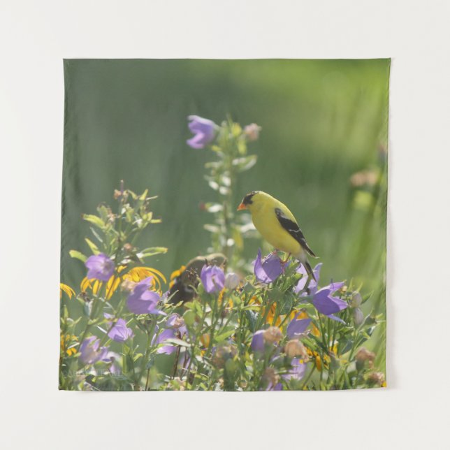 Tapete De Parede Goldfinch em uma Flor Harebell (Frente)