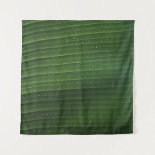 Tapete De Parede Gotas de água em folha verde