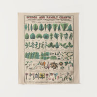 Gráfico Antigo da Escola Botânica Natureza Vintage
