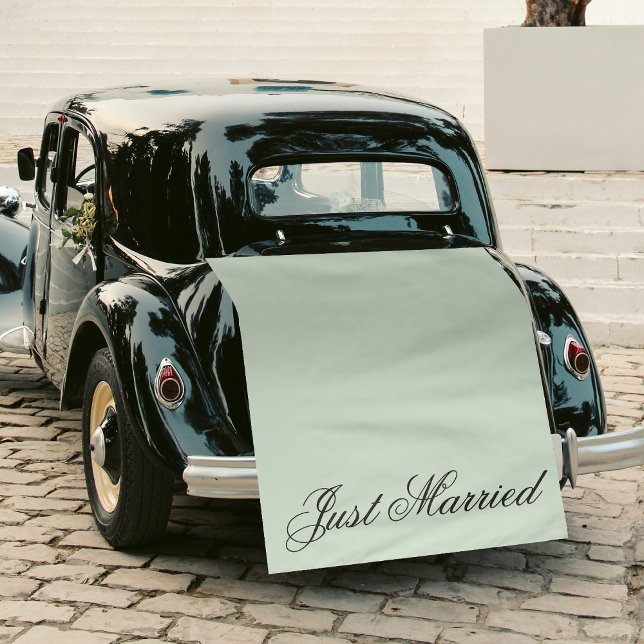 Tapete De Parede Green Just Married Fabric Car Wedding Banner Sign (Green Just Married Fabric Car Wedding Banner Sign Tapestry)