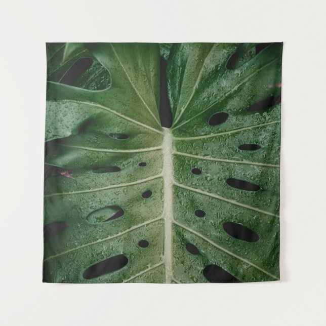 Tapete De Parede Green leaf plant (Frente)