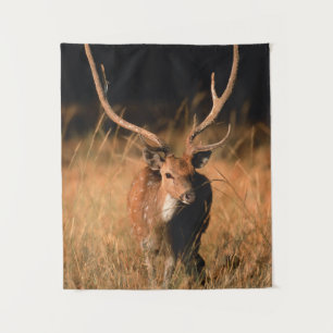 Tapete De Parede Habitat Natural Chital Parque Nacional de Bandha