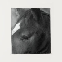 Horse wtcna
