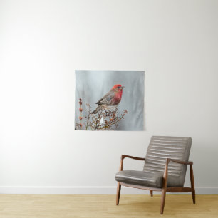 Tapete De Parede House Finch in Snow - Foto original