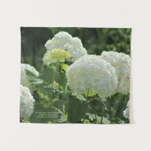 Tapete De Parede Hydrangea de Annabelle