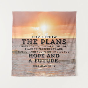 Tapete De Parede Jeremiah 29:11 Porque eu conheço os Planos do Sol
