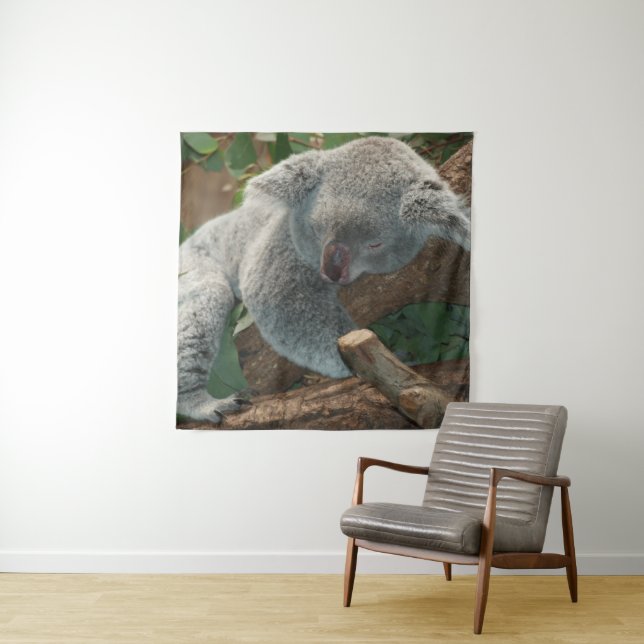 Tapete De Parede Koala (In Situ)
