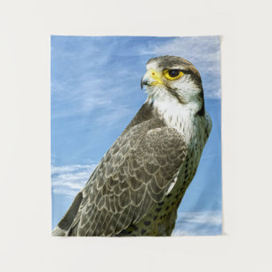 Tapete De Parede Lanner Falcon empacotado