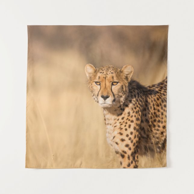TAPETE DE PAREDE LEOPARD PORTRAIT (Frente)