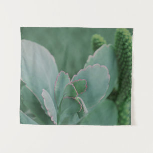 Tapete De Parede Linda Fotografia da Planta do Deserto