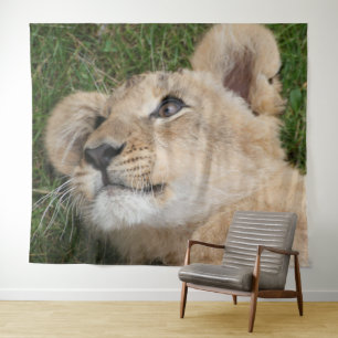 Tapete De Parede Lion 022