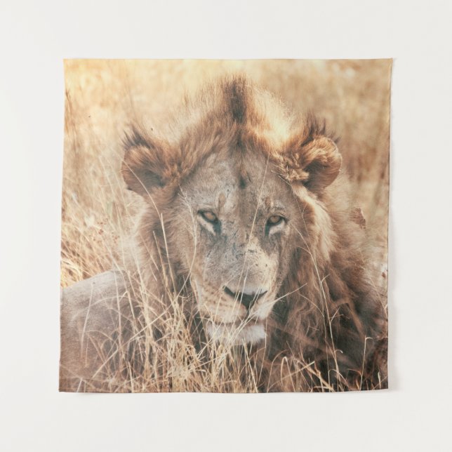 TAPETE DE PAREDE LION KING (Frente)