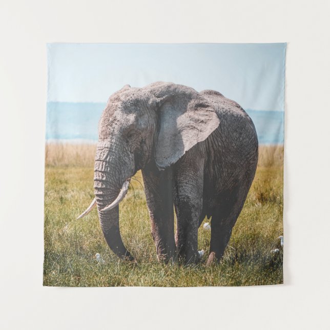 TAPETE DE PAREDE LOVELMENTE ELEFHANT (Frente)