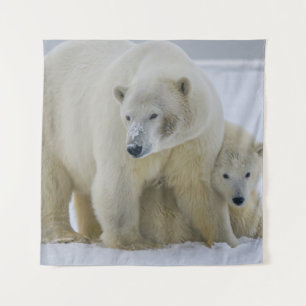 TAPETE DE PAREDE MÃE DE URSO POLAR E NORTE DE CUB ALASKA