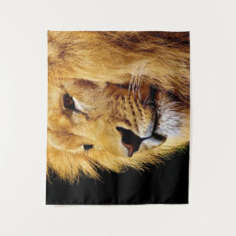 Tapete De Parede Mano Lion