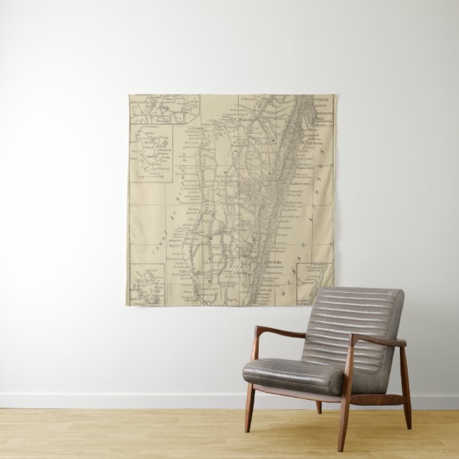 Tapete De Parede Mapa de Madagascar (In Situ)