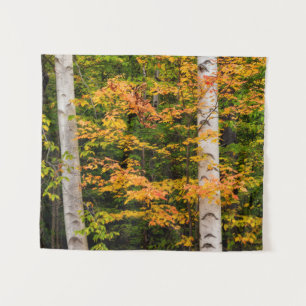 Tapete De Parede Maple & Bétula Branca White Mountains, NH