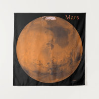 Mars Globe pela NASA