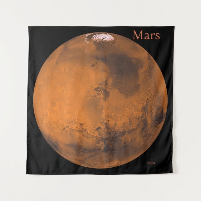 Tapete De Parede Mars Globe pela NASA (Frente)