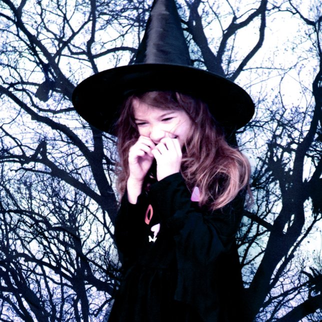 Tapete De Parede Matizes de Floresta de Sombras de Árvores Blues (Criador carregado)