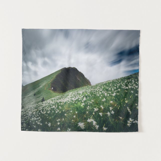 Tapete De Parede Milhares de narcisos em Golica, Eslovênia (Frente (Horizontal))