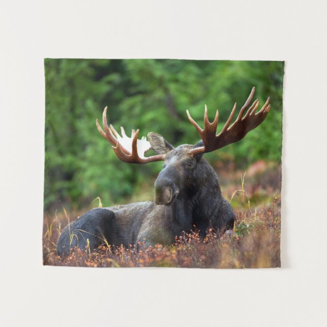 Tapete De Parede Moose (Frente (Horizontal))