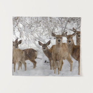 Tapete De Parede Mule Deer Wyoming