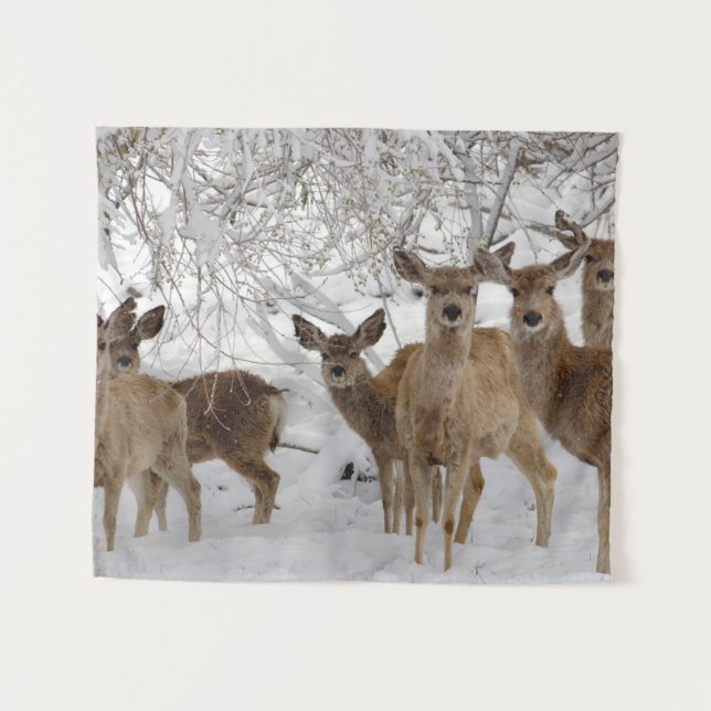 Tapete De Parede Mule Deer Wyoming (Frente (Horizontal))