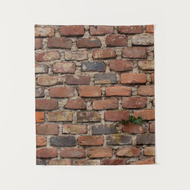 Tapete De Parede Muro de tijolo (Frente)