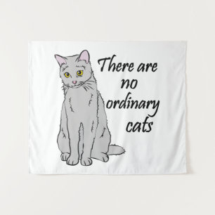Tapete De Parede Não Há Gatos Comuns