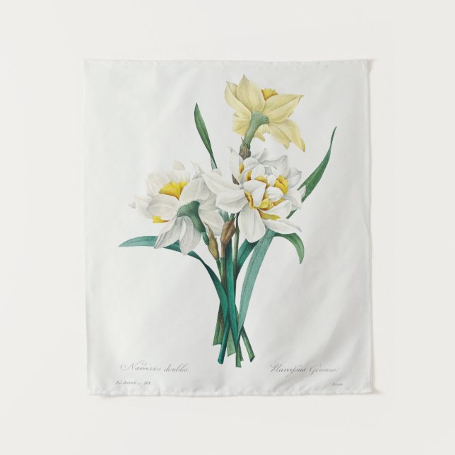 Tapete De Parede Narciso Duplo, Pierre-Joseph Redouté, 1827 (Frente)
