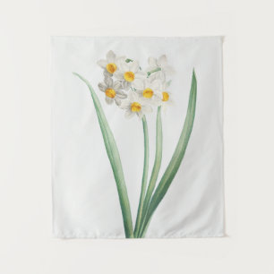 Tapete De Parede Narcissus, Pierre-Joseph Redouté, 1805