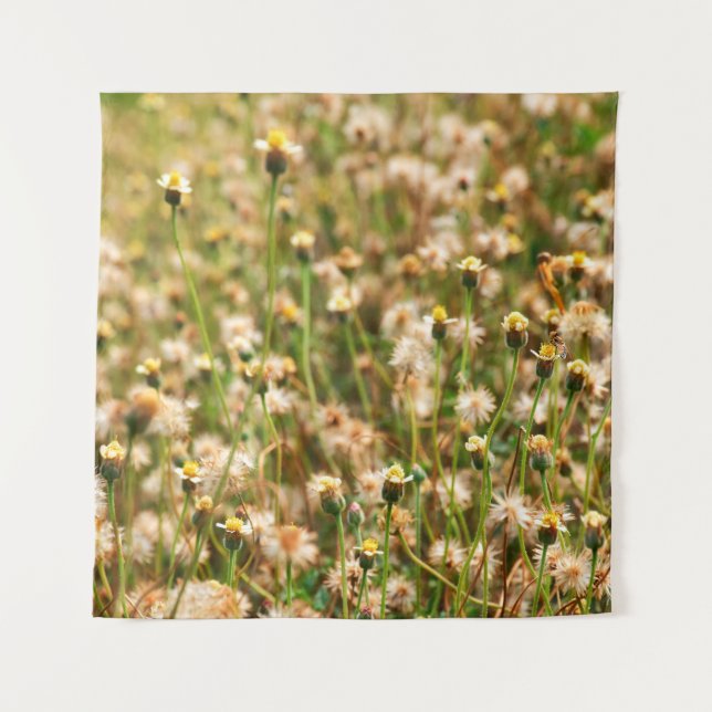 Tapete De Parede Nature background with grass flowerbackground, bea (Frente)