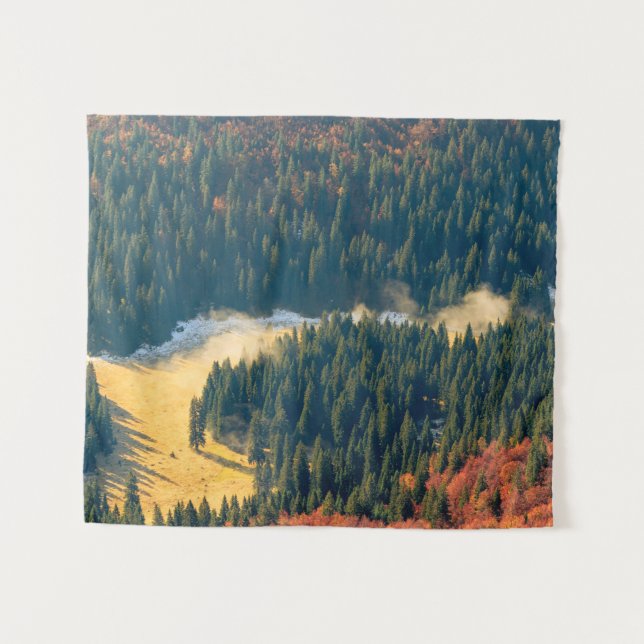 Tapete De Parede Nevoeiro rolando num campo de outono de solitário (Frente (Horizontal))