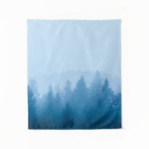 Nevoeiro sobre floresta